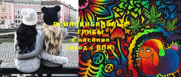 PSILOCYBIN Алзамай