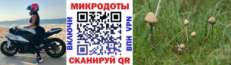 Галлюциногенные грибы Cubensis  Котлас 