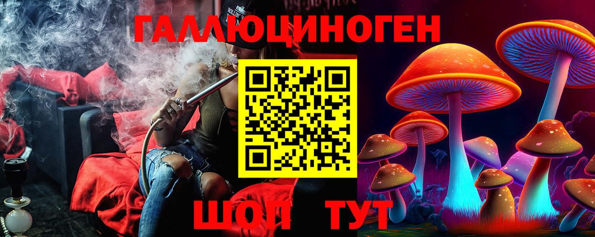 Галлюциногенные грибы Cubensis  Псилоцибиновые грибы Cubensis  Котлас  Вход с VPN 