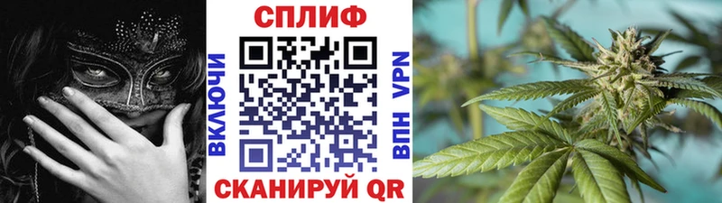Шишки марихуана тримм ссылка на мегу ONION Котлас